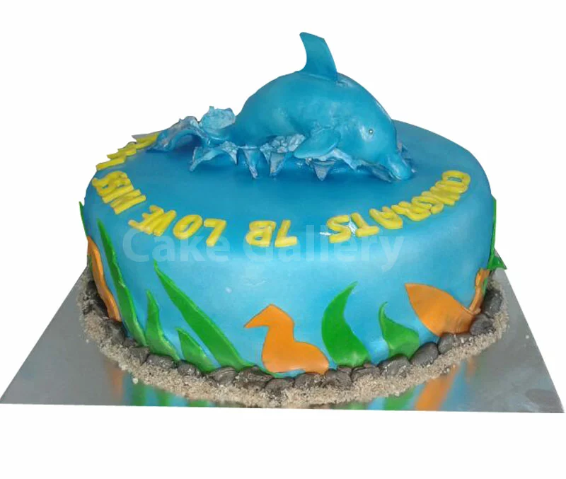 Dolphin Themed Birthday Cake – Lucy's Friendly Foods