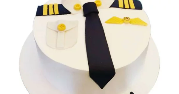 Pilot Birthday Cake - Etsy