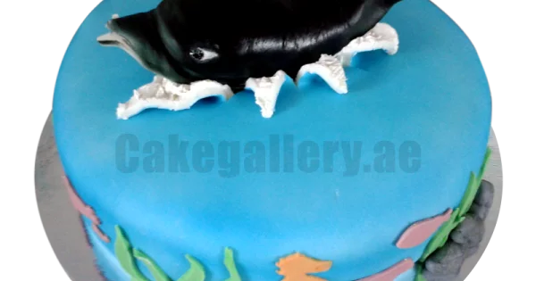 Customised Dolphin cake, Food & Drinks, Homemade Bakes on Carousell