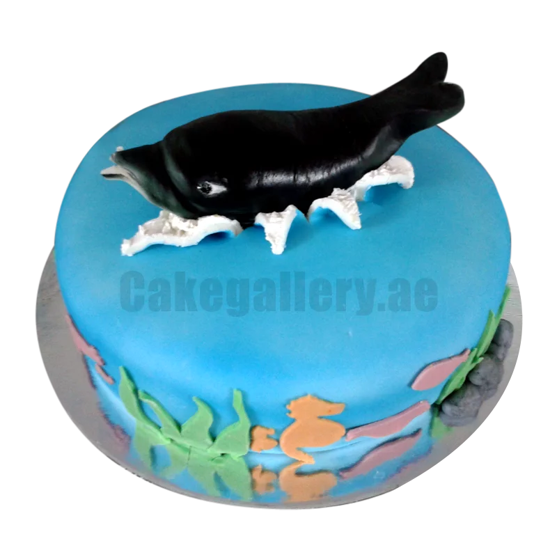 Dolphin Edible Cake Image Cake Topper – Cakes For Cures
